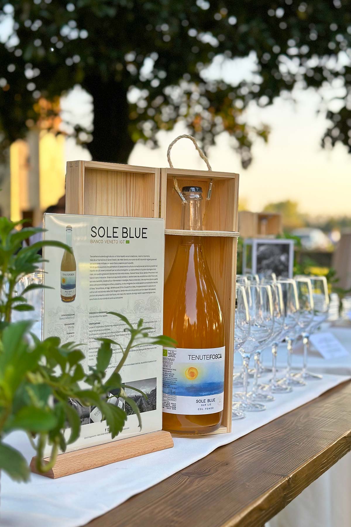 Tenutefosca Soleblue vino